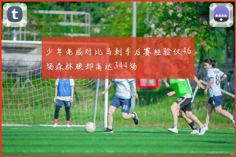 少年老成对比马刺季后赛经验仅46场森林狼却高达344场